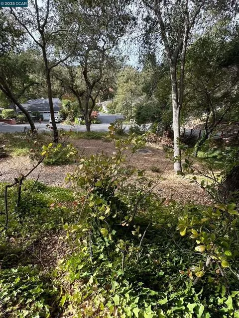 Orinda, CA 94563,4 El Sereno