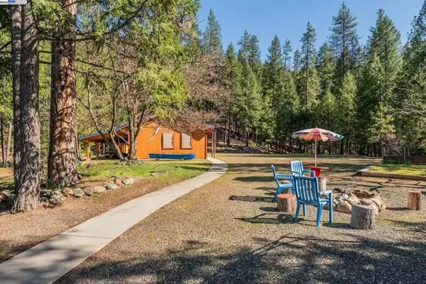 Trinity Center, CA 96091,8341 East Side Rd