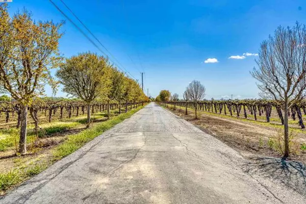 Galt, CA 95632,11699 Conley Rd