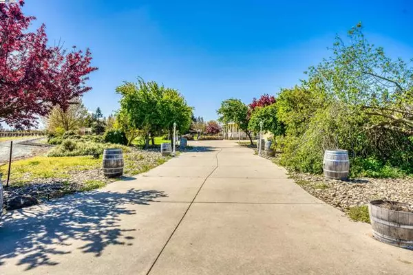 Galt, CA 95632,11699 Conley Rd