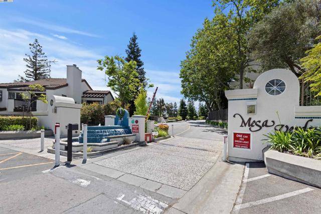 Hayward, CA 94546,21062 Gary Dr