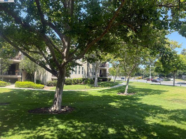 Fremont, CA 94538,39455 Albany Common