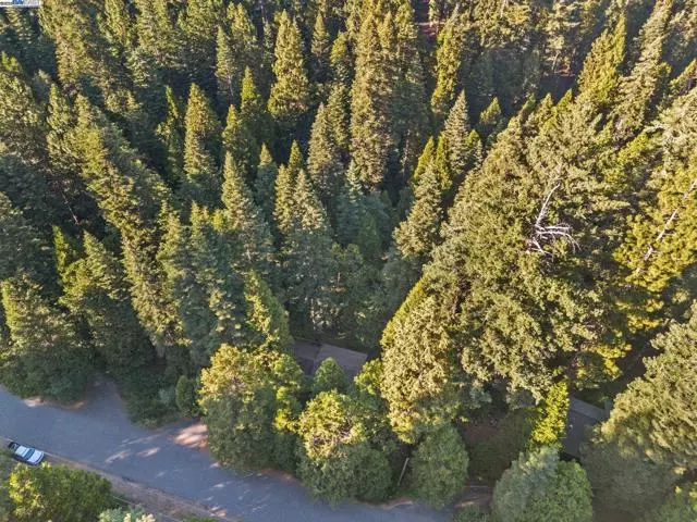 2178 Karock Dr, Arnold, CA 95223