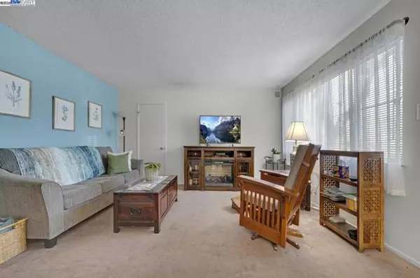 Berkeley, CA 94710,1738 7Th St