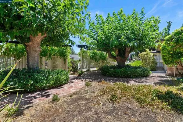 Walnut Creek, CA 94598,395 El Divisadero Ave