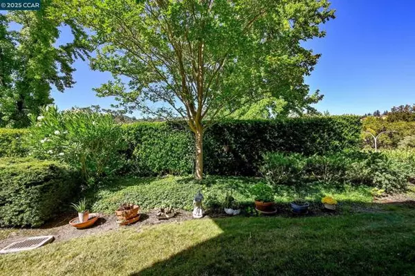 Walnut Creek, CA 94595,2055 Cactus Ct