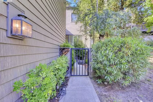 Walnut Creek, CA 94597,1940 Everidge Ct