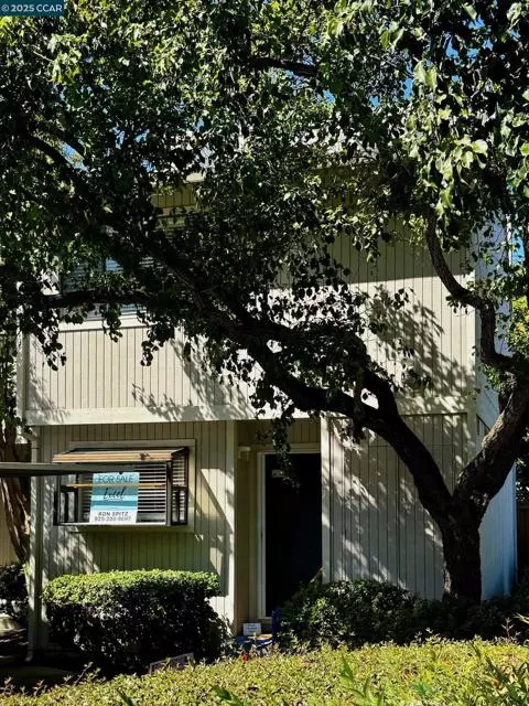 Walnut Creek, CA 94597