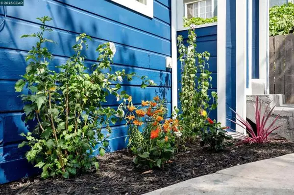Oakland, CA 94603,1245 90th