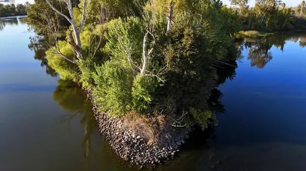 Byron, CA,Goldrift Island