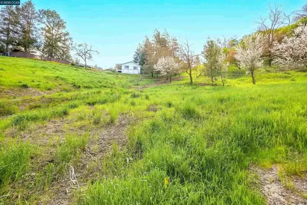 Walnut Creek, CA 94597,40 Rodrigues Ln