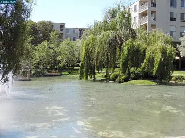 Walnut Creek, CA 94596,310 North Civic Dr.