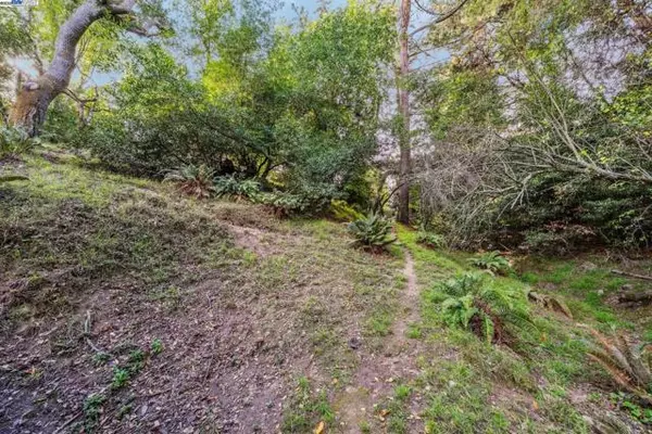 Oakland, CA 94611,7171 HOMEWOOD DRIVE