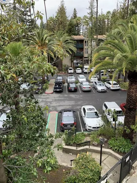 185 Sierra Dr, Walnut Creek, CA 94596