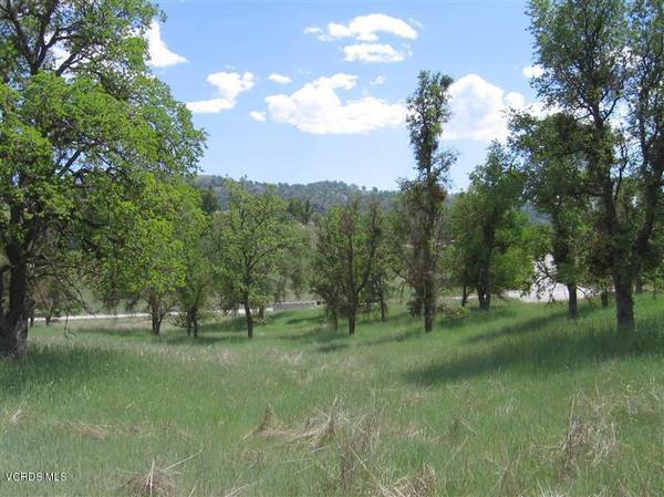 29100 Horsethief Drive #Lot 152, Tehachapi, CA 93561