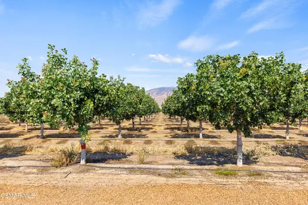 Arvin, CA 93203,Tejon Highway