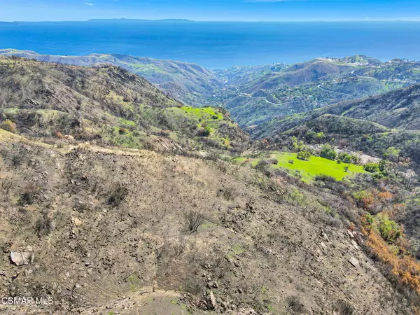 Topanga, CA 90290,8 Sadie