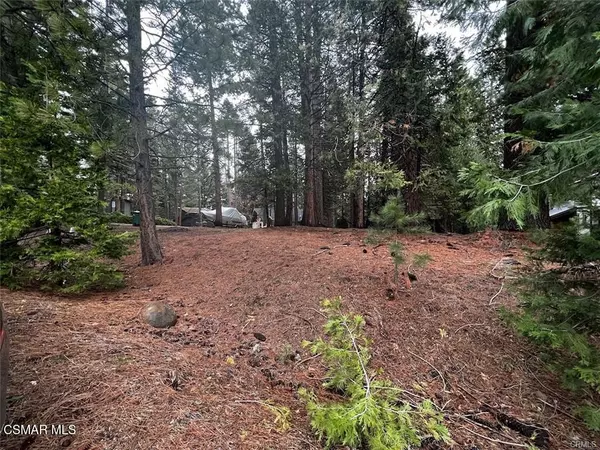 Lake Almanor, CA 96137,728 Lake Ridge Road