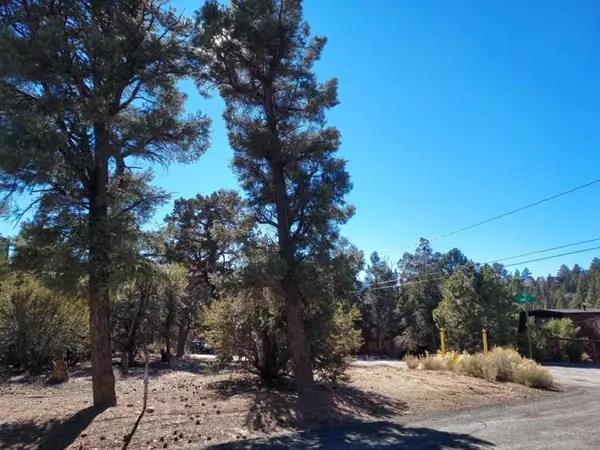 Big Bear City, CA 92314,0 Pioneer Lane