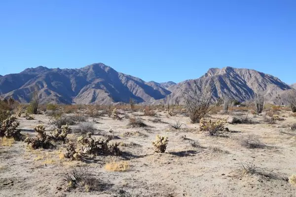 Borrego Springs, CA 92004,0 Palm Canyon Drive