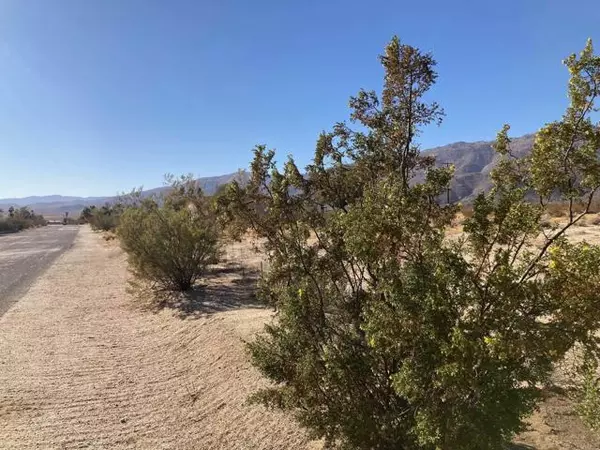 Borrego Springs, CA 92004,Carillo Road