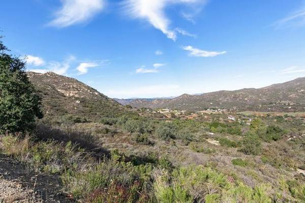 15320 SKYLINE TRUCK TRAIL, Jamul, CA 91935