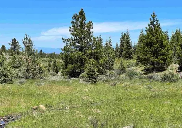 Alturas, CA 96101,0 Lot 13 Drive