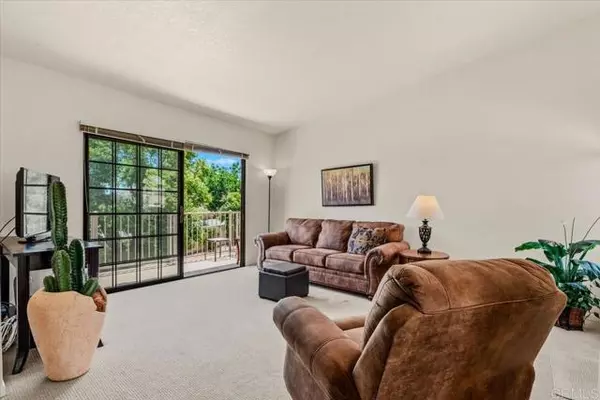 Palm Springs, CA 92264,505 South Farrell Drive