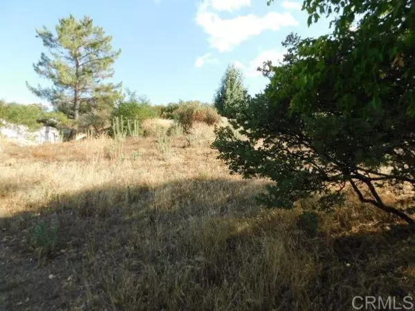 Campo, CA 91906,29949 Canadian Honker Road