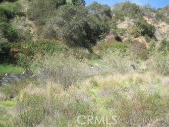 Monrovia, CA 91016,553 Norumbega Drive
