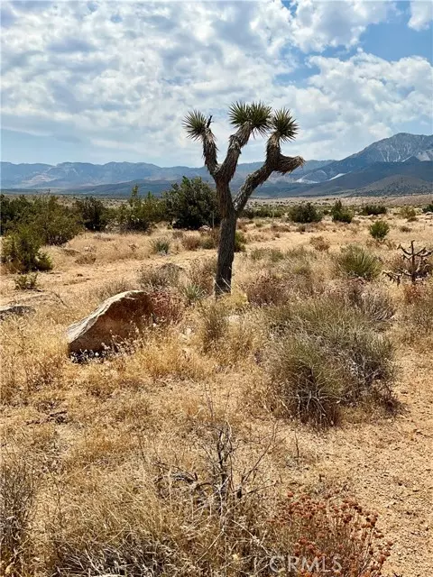 Lucerne Valley, CA 92356,0 Grandview Rd.