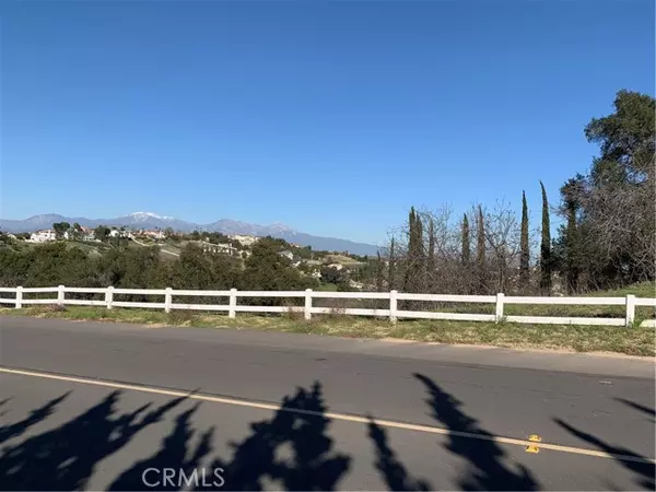 Diamond Bar, CA 91765,2578 Braided Mane Drive