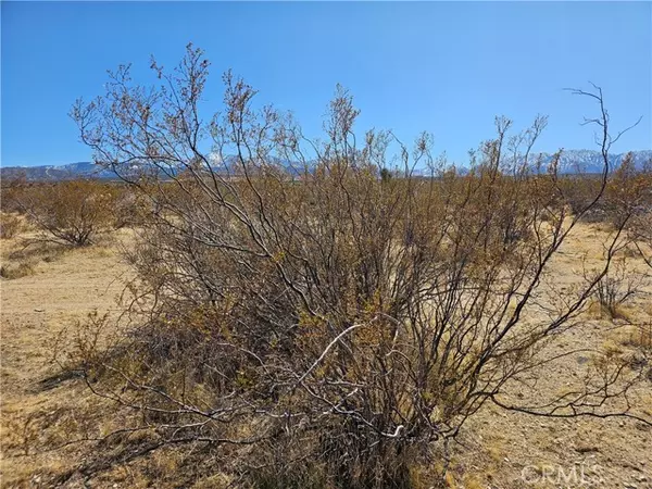 Palmdale, CA 93591,0 Avenue R