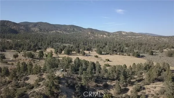 Frazier Park, CA 93225,16469 Curtis Trail