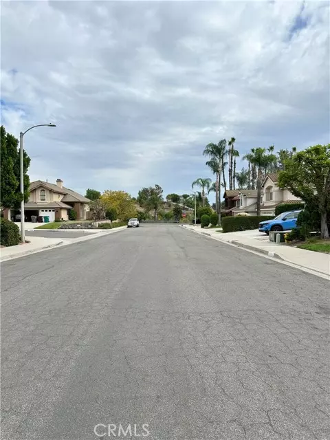 Murrieta, CA 92562,40205 White Leaf