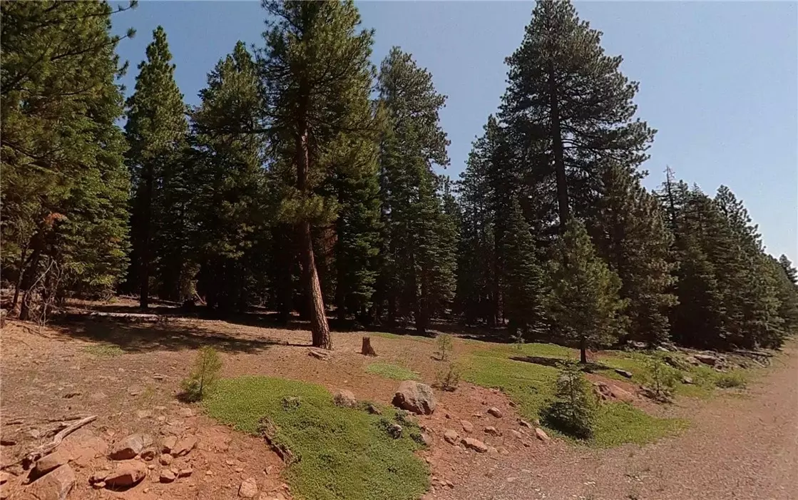 Alturas, CA 96101,0 Cub Road