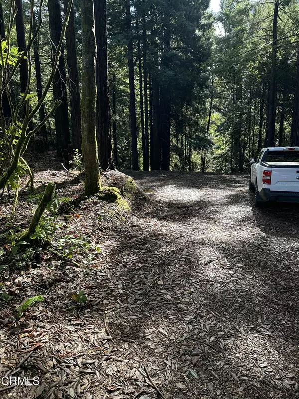 Fort Bragg, CA 95437,17500 Redwood Springs Drive