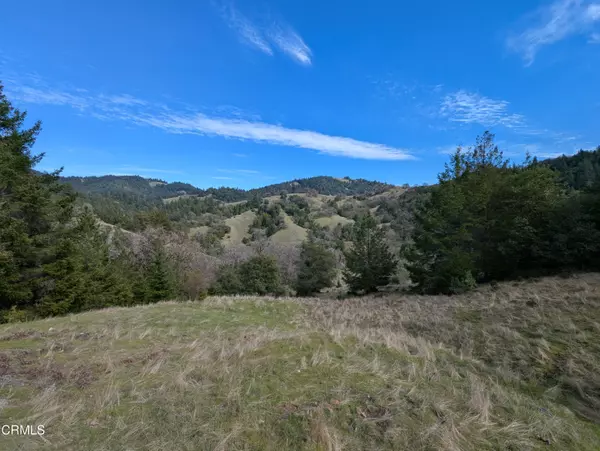 22346 Rickard Ranch Road, Point Arena, CA 95468