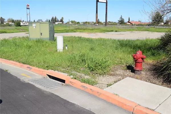 Orland, CA 95963,1158 Hoff Way