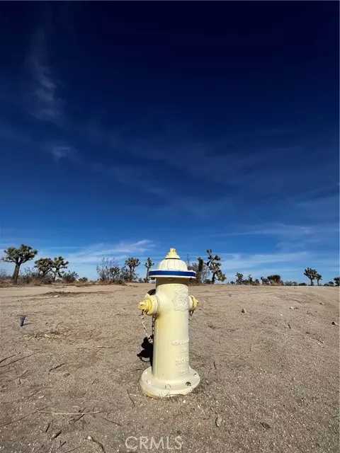 Pinon Hills, CA 92372,0 Arcadia