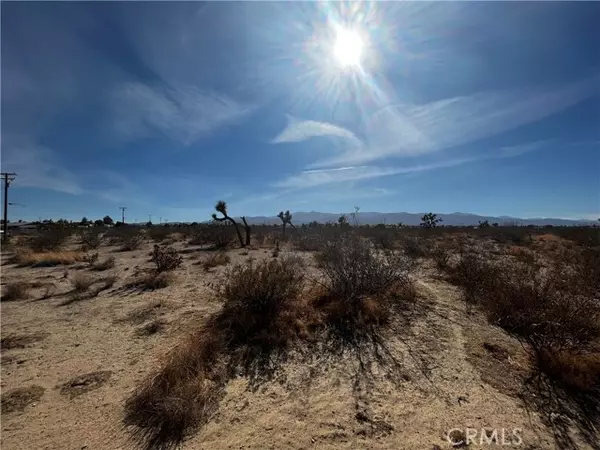Phelan, CA 92371,0 Ailanthus St