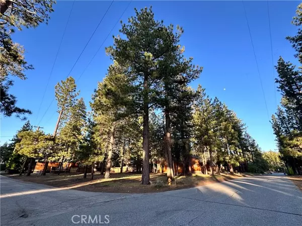 Big Bear Lake, CA 92315,169 Eagle Drive