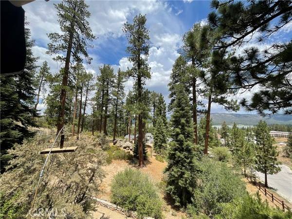 748 Paine Road, Big Bear, CA 92315