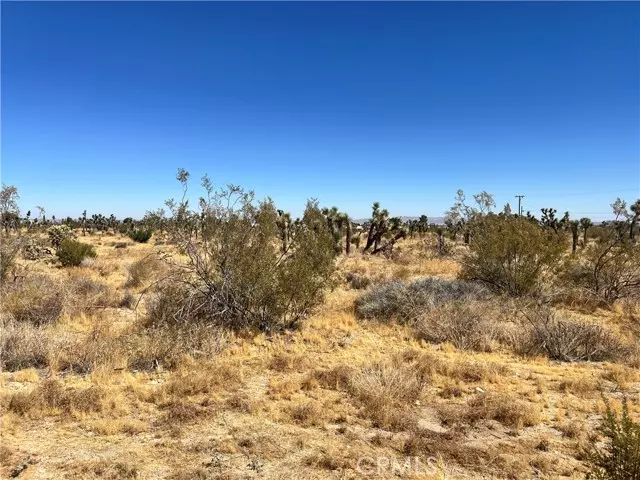 Pinon Hills, CA 92372,0 APN 3099-171-19-0000