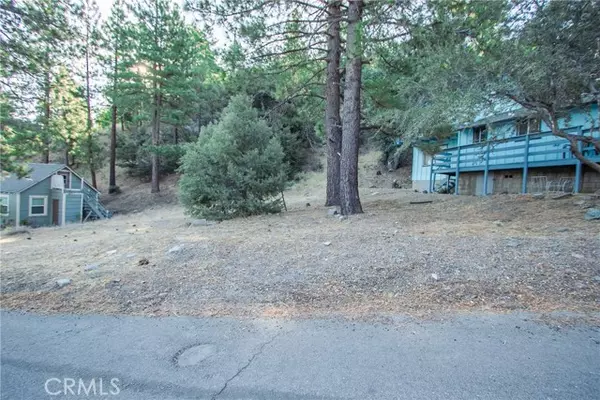 Wrightwood, CA 92397,0 E Canyon Dr