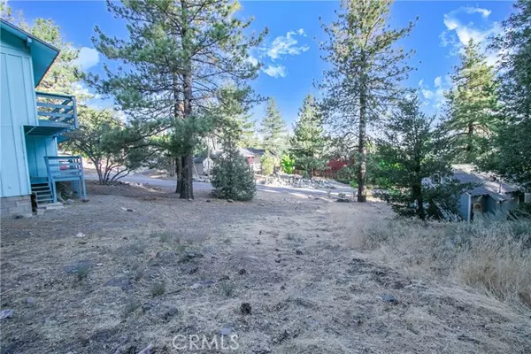 Wrightwood, CA 92397,0 E Canyon Dr