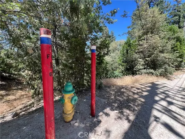 Crest Park, CA 92326,0 Burnt Mill Drive