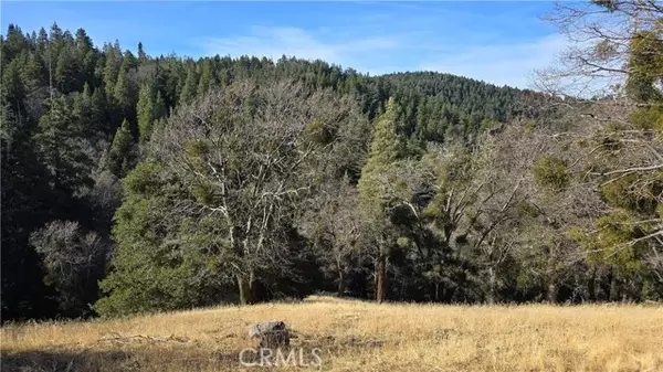 Cedarpines Park, CA 92322,0 Cross Trail