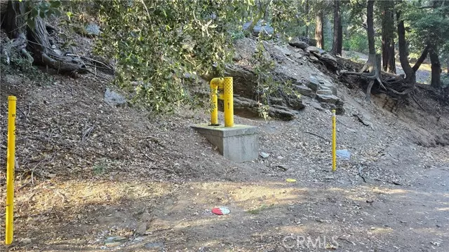 Cedarpines Park, CA 92322,0 Cross Trail