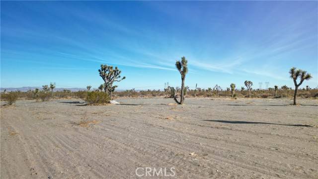 Phelan, CA 92371,12575 Buckwheat Road